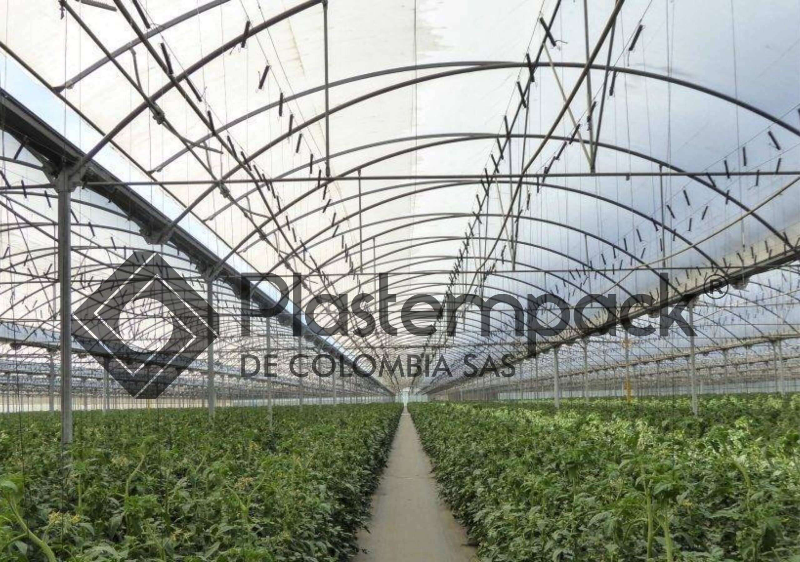 Plastico Invernadero Agrolene